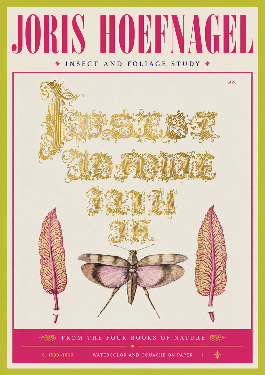 Joris Hoefnagel Insect and Foliage Study No4 - Plakat