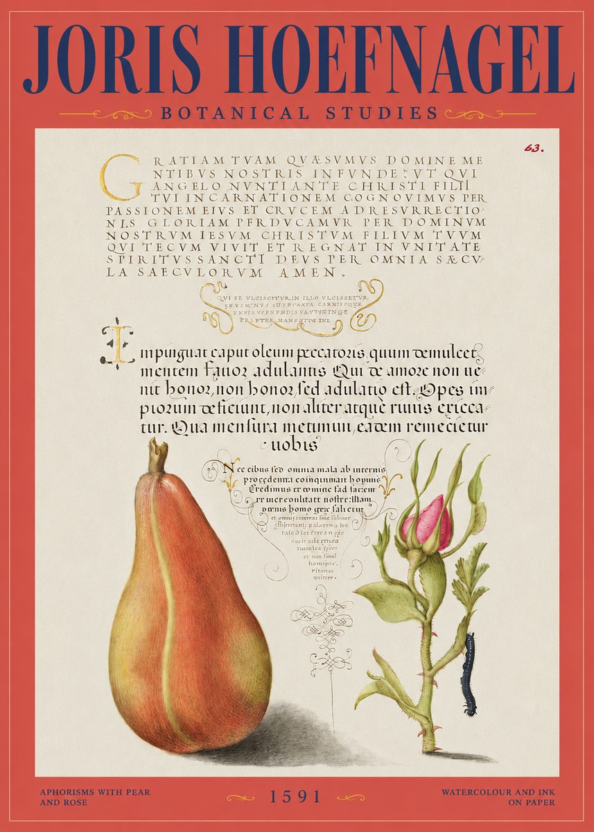 Joris Hoefnagel Aphorisms with Pear and Rose No2 - Plakat