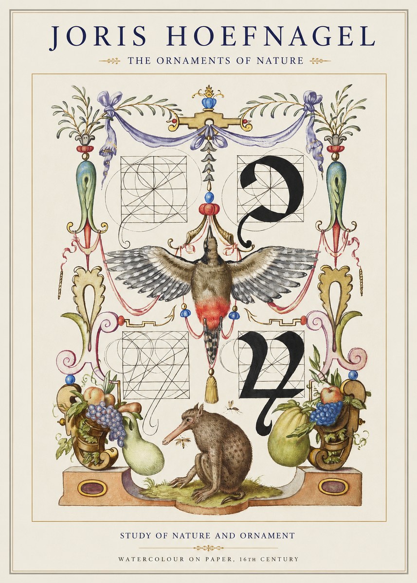 Joris Hoefnagel Study of Nature and Ornament No1 - Plakat