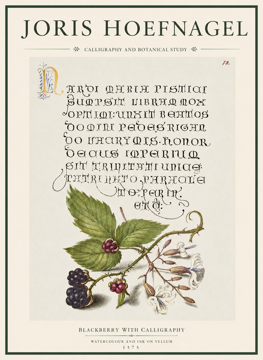 Joris Hoefnagel Calligraphy and Botanical Study II No5 - Plakat