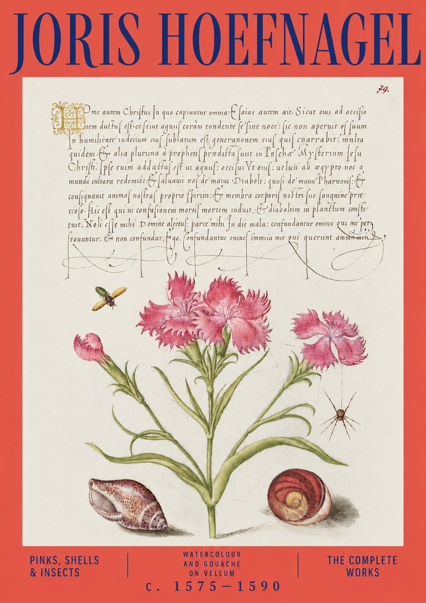 Joris Hoefnagel Pinks, Shells & Insects No3 - Plakat