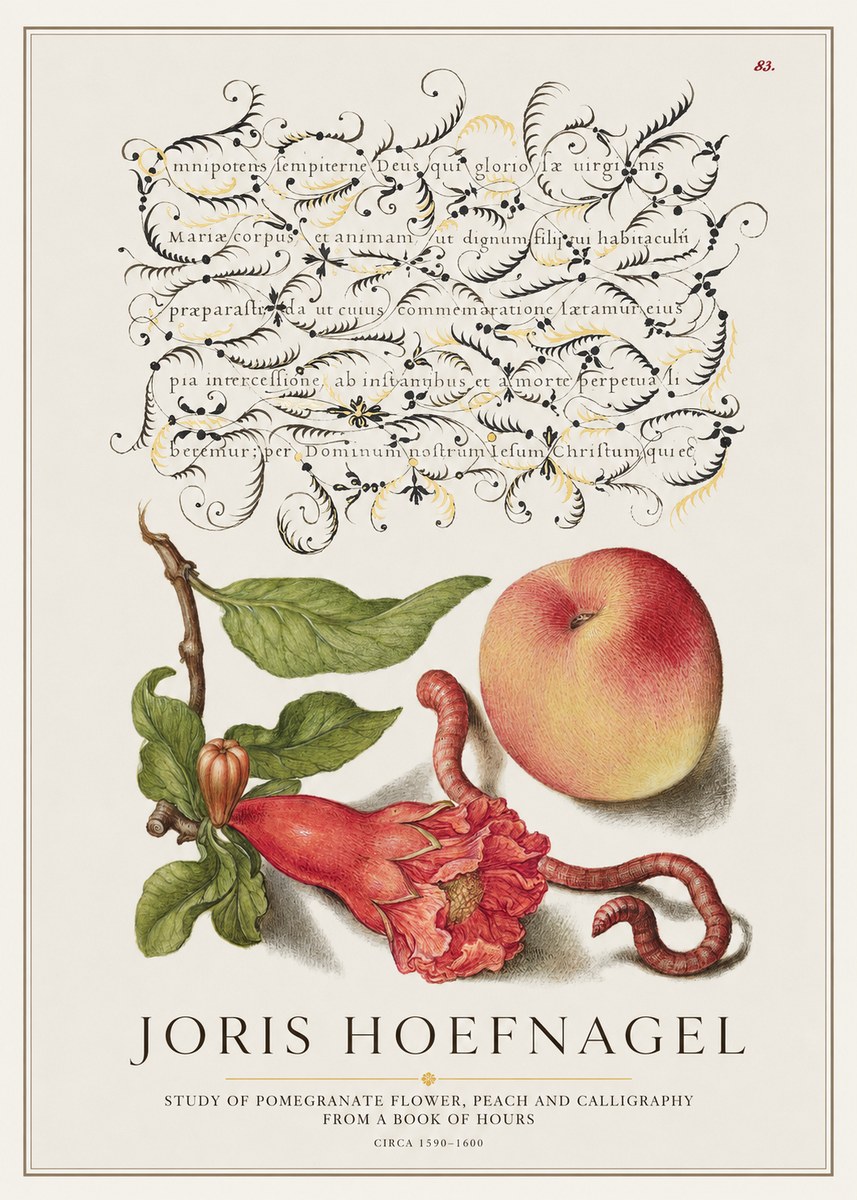 Joris Hoefnagel Study of Pomegranate Flower, Peach and Calligraphy from a Book of Hours No1 - Plakat