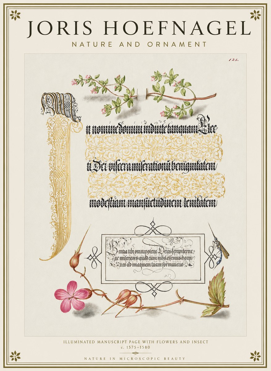 Joris Hoefnagel Illuminated Manuscript Page with Flowers and Insect No1 - Plakat