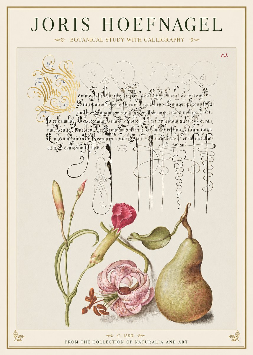 Joris Hoefnagel Botanical Study with Calligraphy II No1 - Plakat