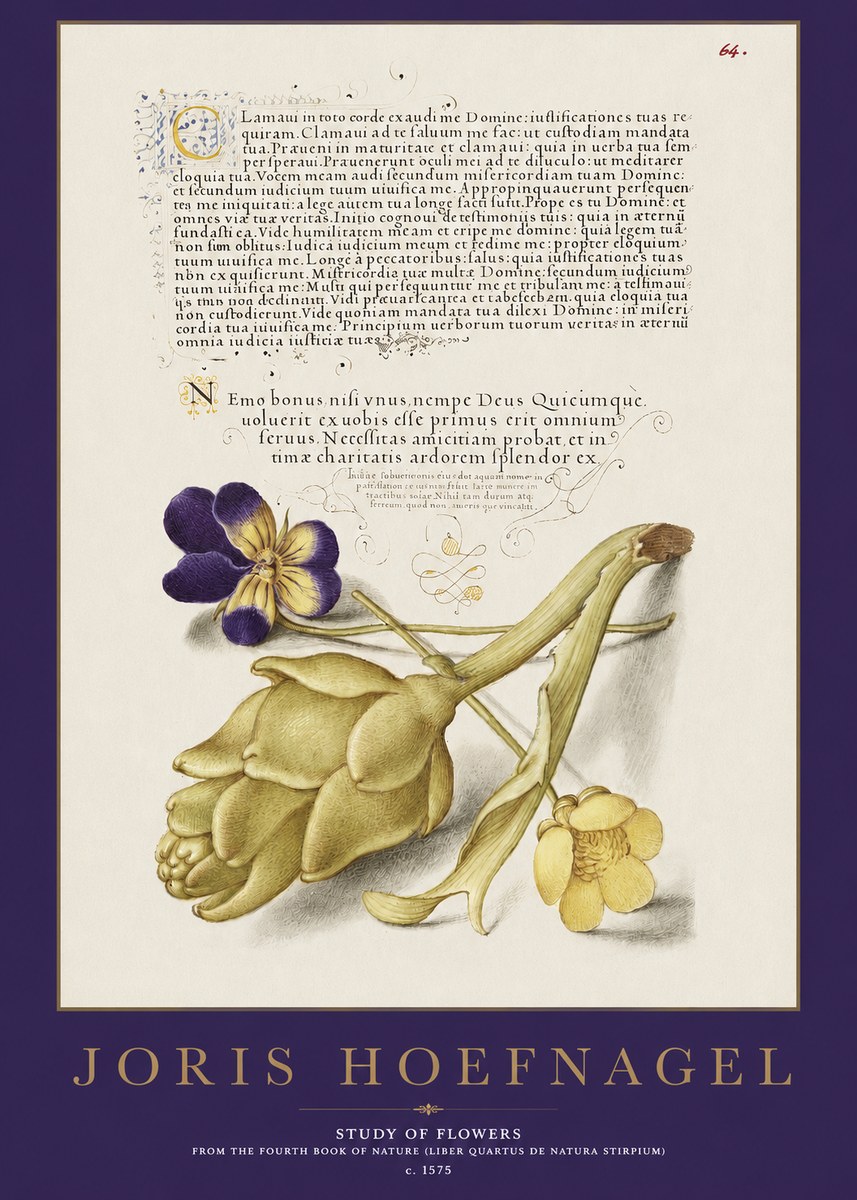 Joris Hoefnagel Botanical Study with Calligraphy III No3 - Plakat