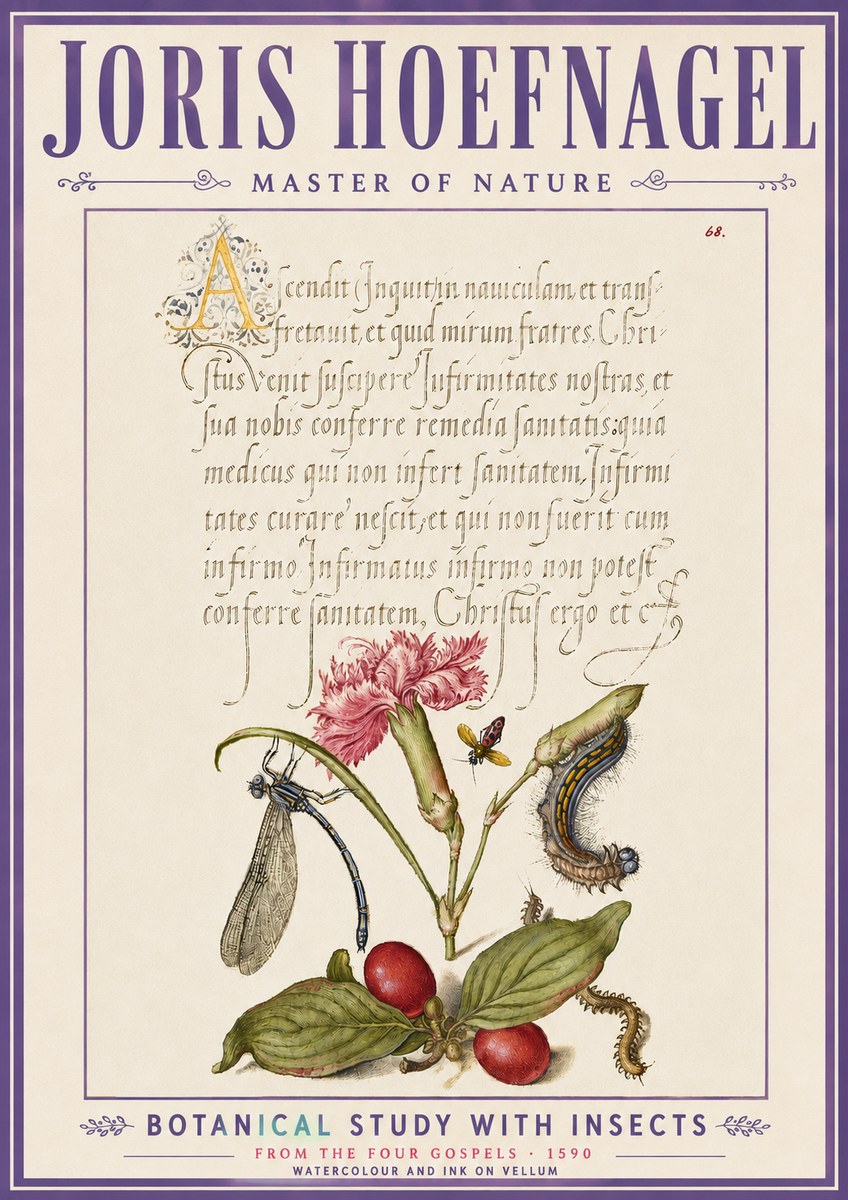 Joris Hoefnagel Botanical Study with Insects No6 - Plakat