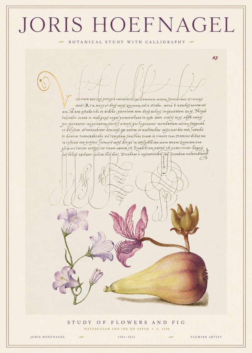 Joris Hoefnagel Study of Plants II No2 - Plakat