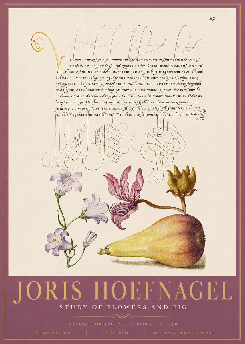 Joris Hoefnagel Study of Plants II No5 - Plakat