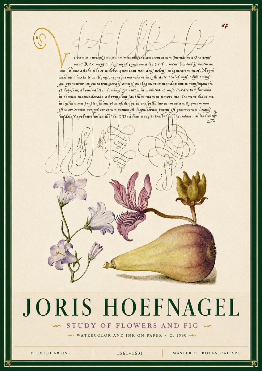 Joris Hoefnagel Study of Plants II No6 - Plakat