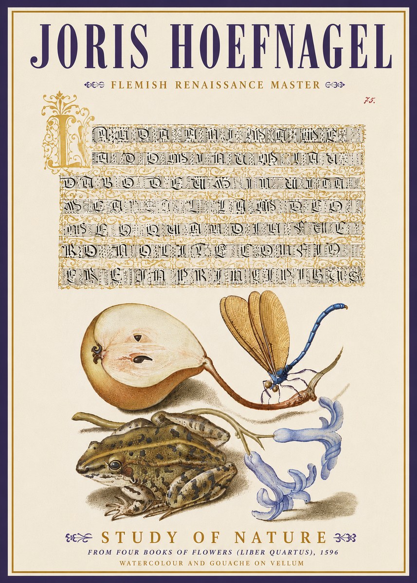 Joris Hoefnagel Study of Nature II No5 - Plakat