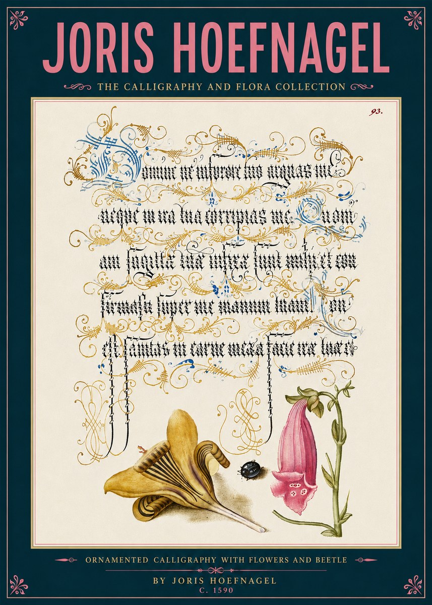 Joris Hoefnagel Ornamented Calligraphy with Flowers and Beetle No6 - Plakat