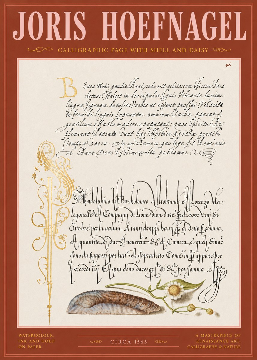 Joris Hoefnagel Calligraphic Page with Shell and Daisy No2 - Plakat
