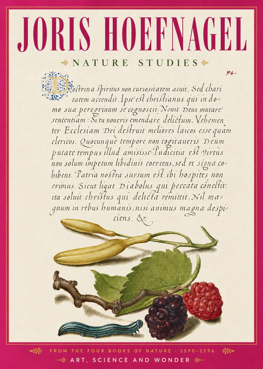 Joris Hoefnagel Nature Studies No6 - Plakat