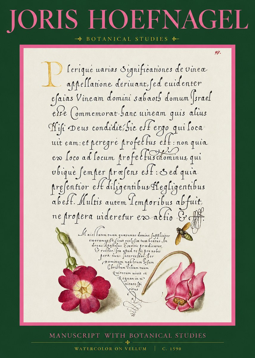 Joris Hoefnagel Manuscript with Botanical Studies No2 - Plakat