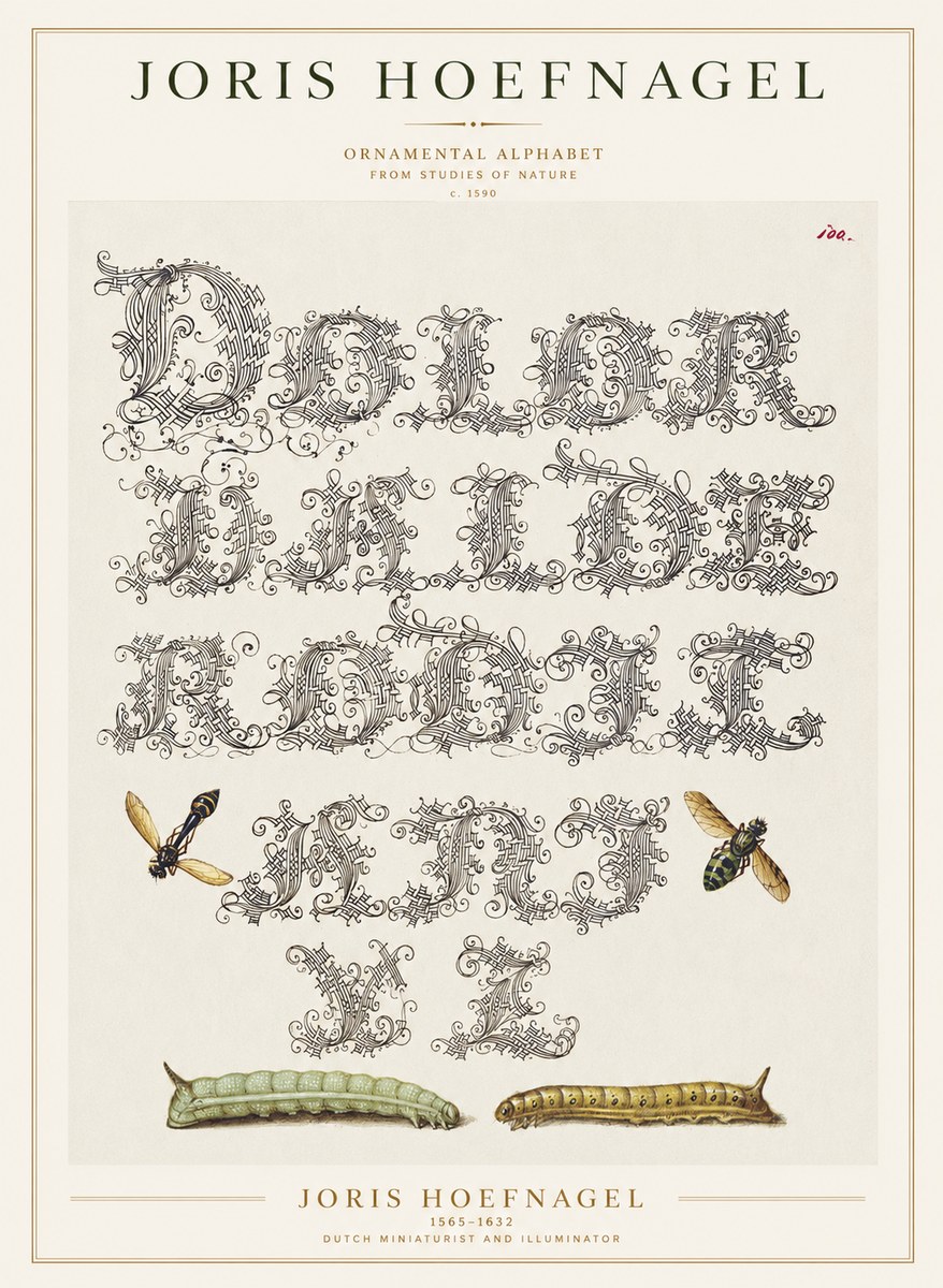 Joris Hoefnagel Ornamental Alphabet from Studies of Nature No1 - Plakat