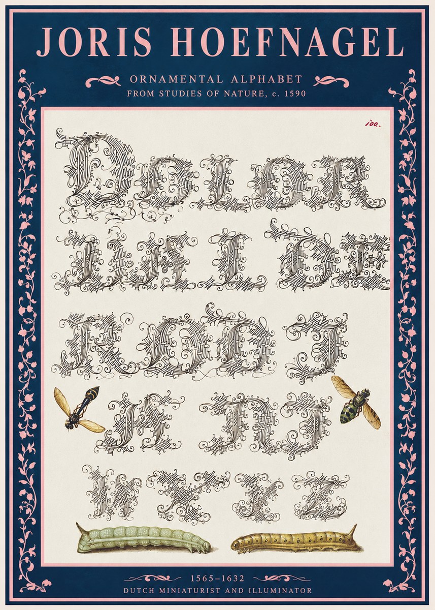Joris Hoefnagel Ornamental Alphabet from Studies of Nature No2 - Plakat