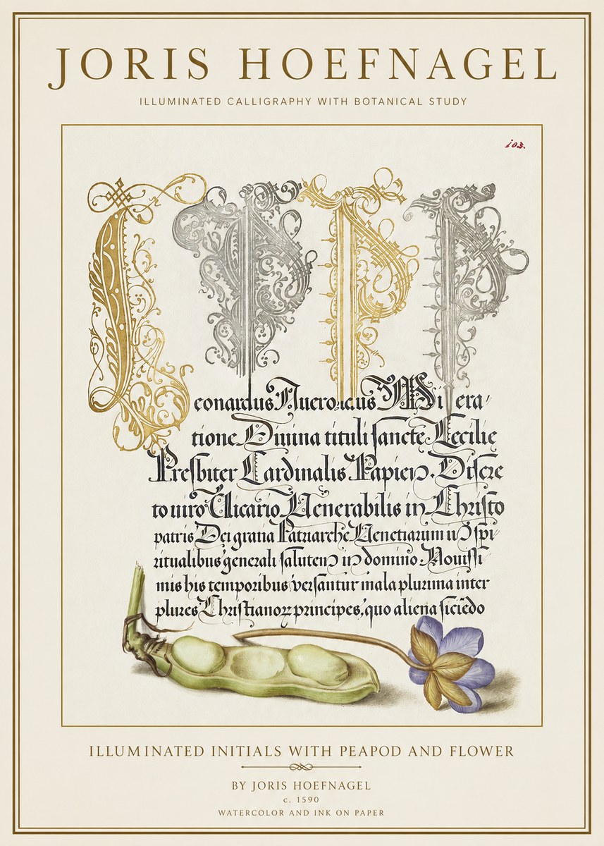 Joris Hoefnagel Illuminated Initials with Peapod and Flower No1 - Plakat