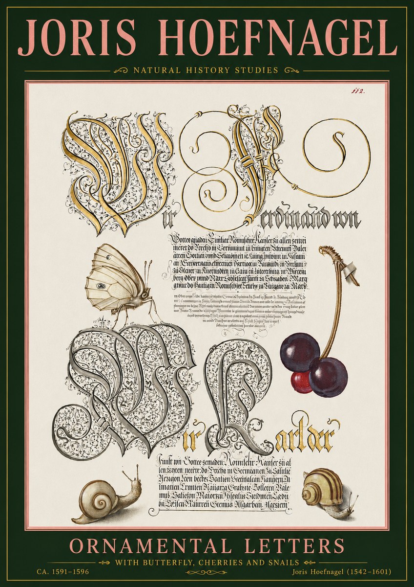 Joris Hoefnagel Ornamental Letters with Butterfly, Cherries and Snails No5 - Plakat