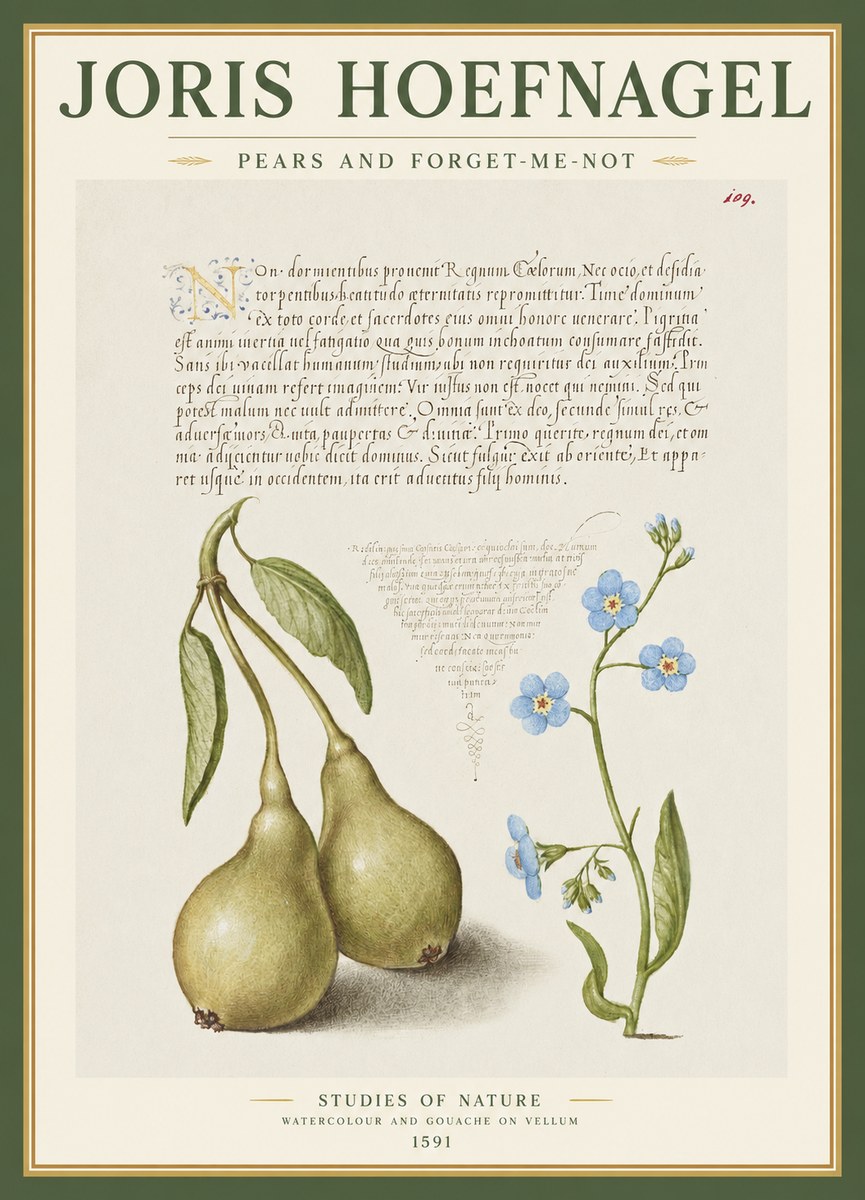 Joris Hoefnagel Pears and Forget-me-not No1 - Plakat