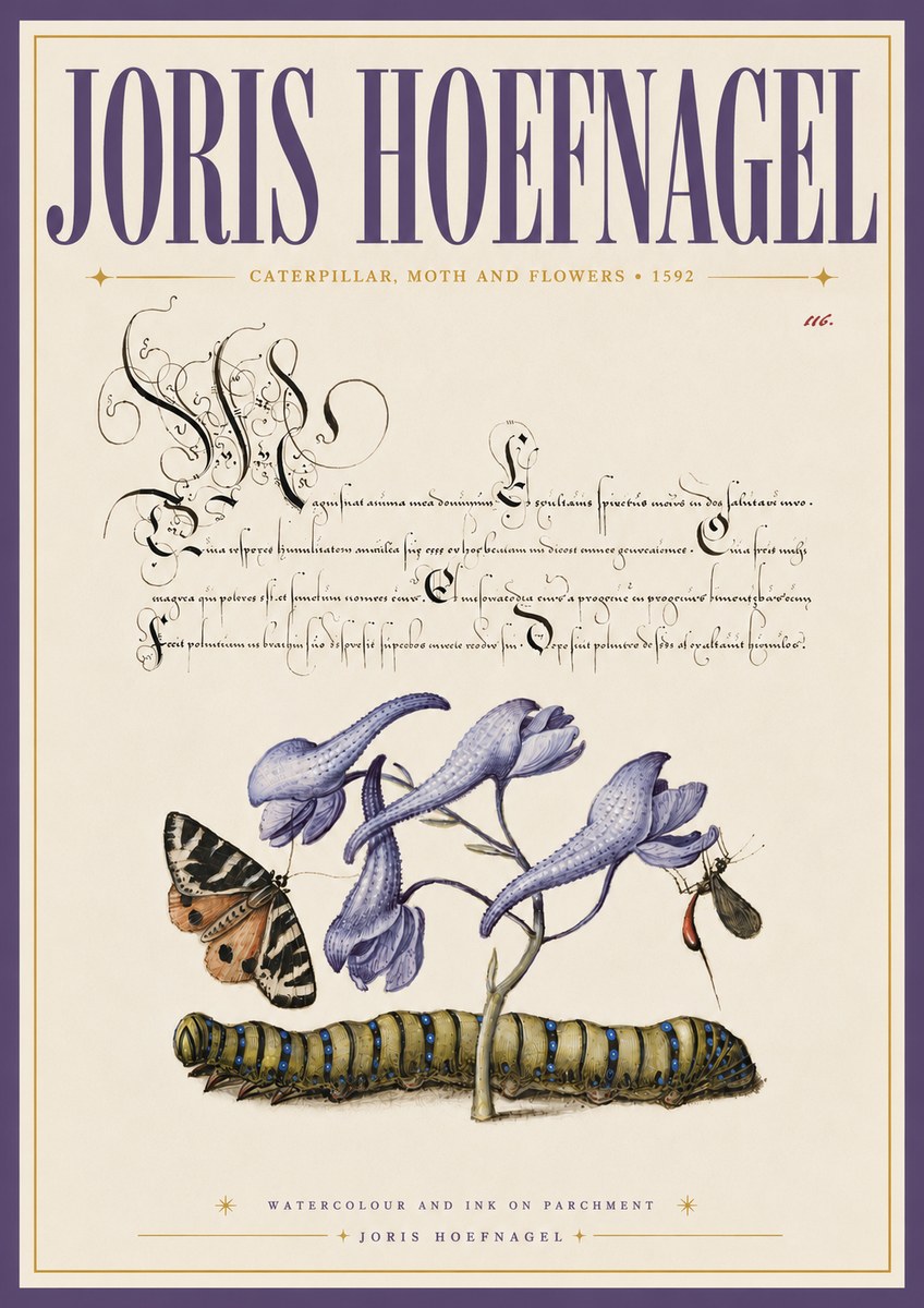 Joris Hoefnagel Caterpillar, Moth and Flowers No6 - Plakat