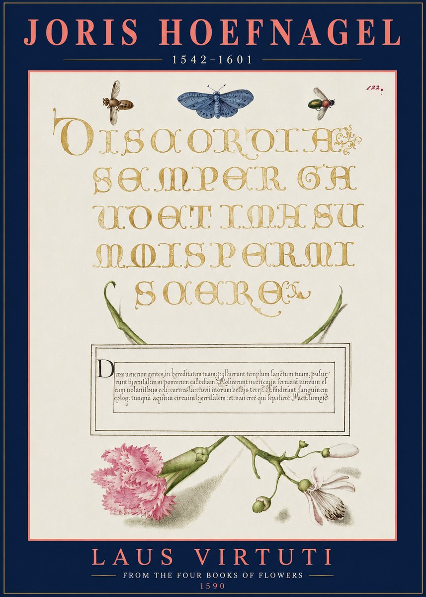 Joris Hoefnagel Laus Virtuti No3 - Plakat