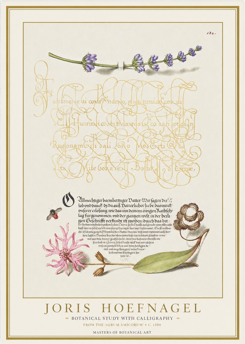 Joris Hoefnagel Botanical Study with Calligraphy IV No1 - Plakat