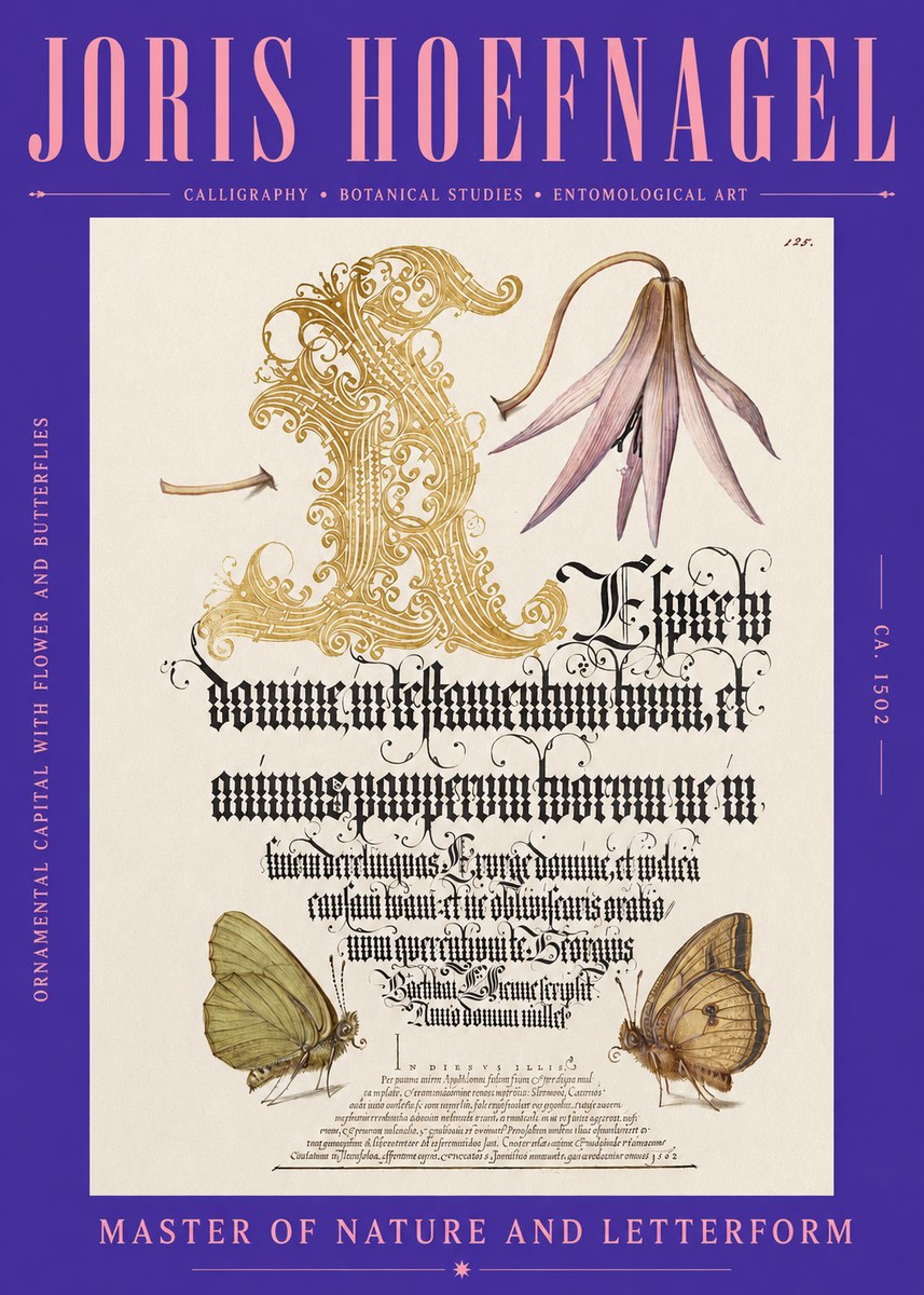 Joris Hoefnagel Ornamental Capital with Flower and Butterflies No2 - Plakat
