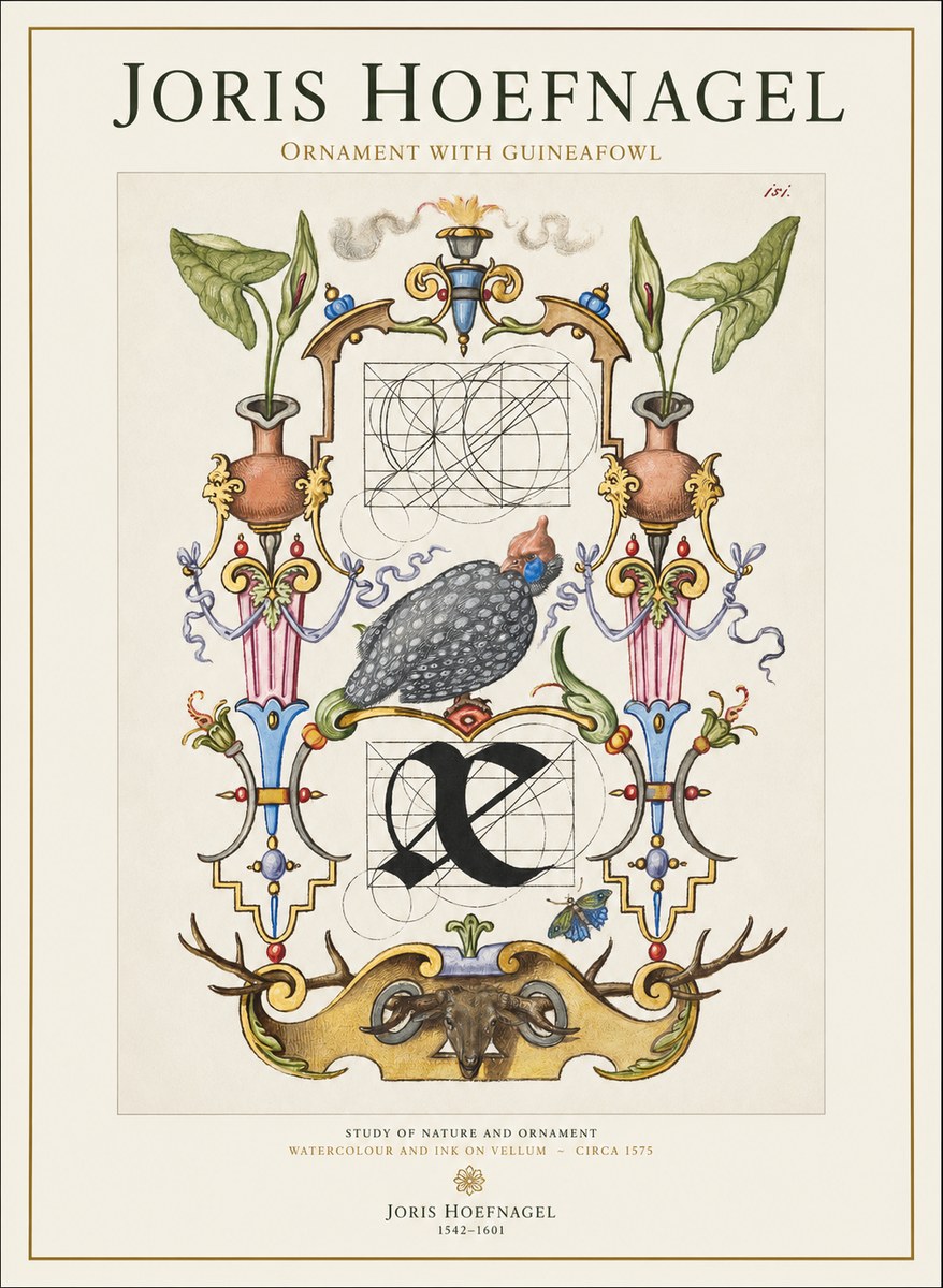 Joris Hoefnagel Ornament with Guineafowl No1 - Plakat