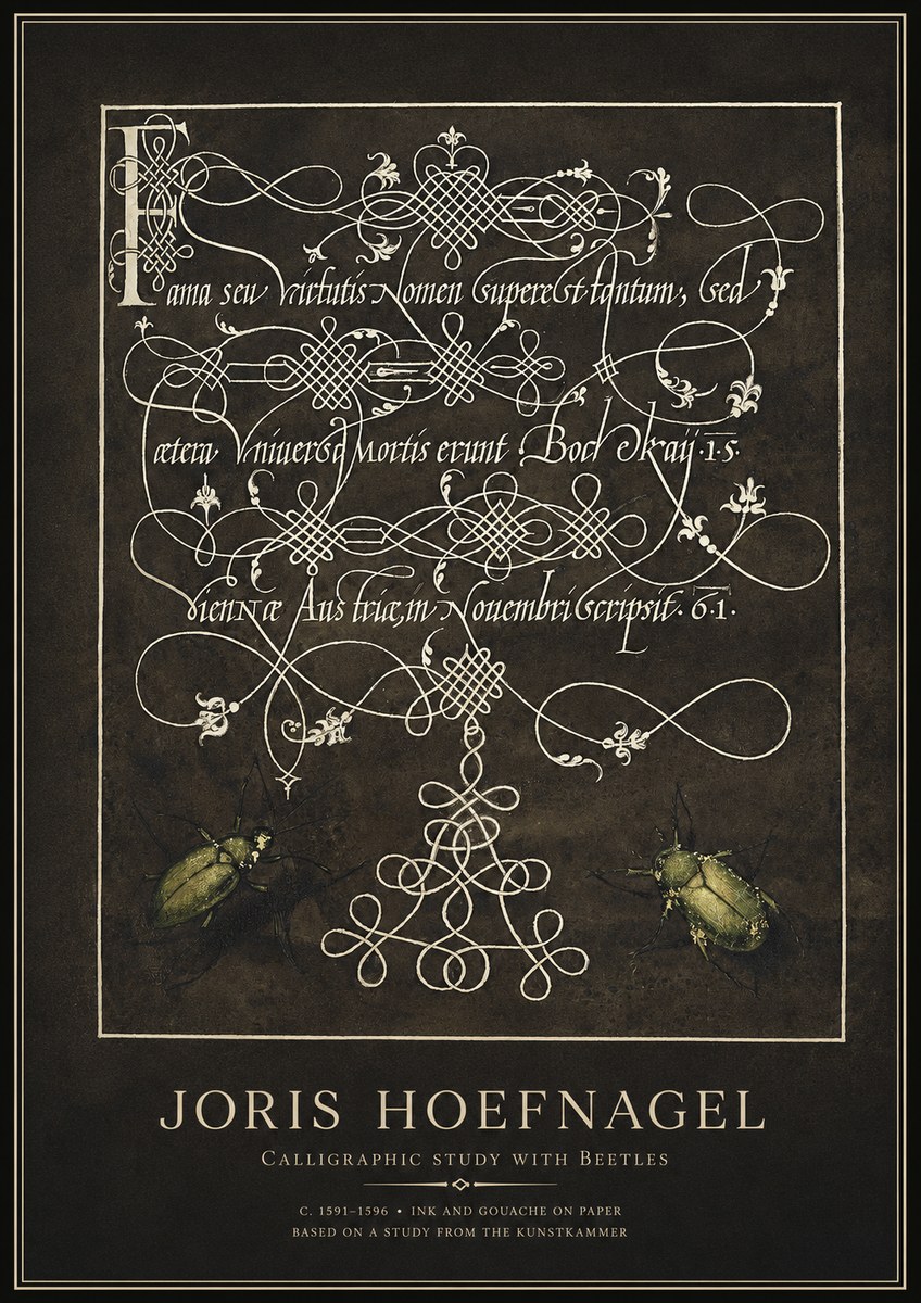 Joris Hoefnagel Calligraphic Study with Beetles No1 - Plakat