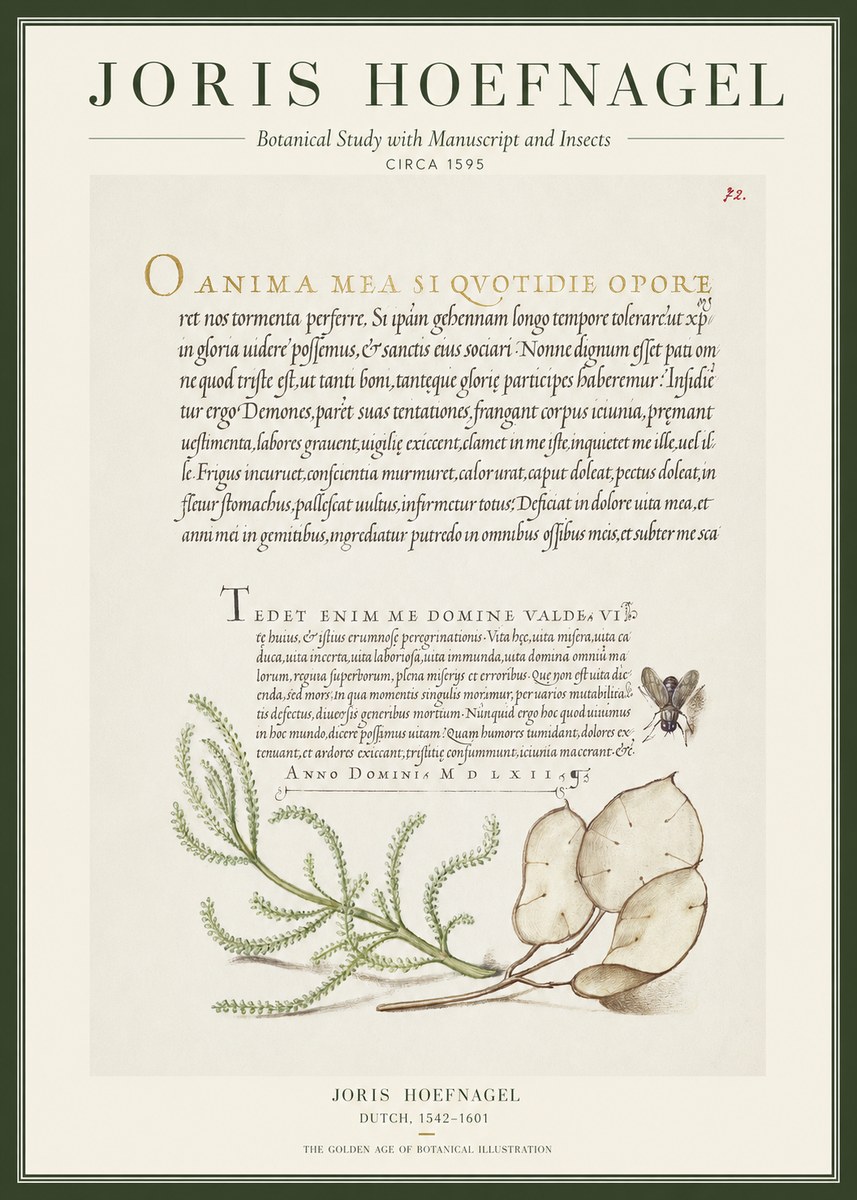 Joris Hoefnagel Botanical Study with Manuscript and Insects No1 - Plakat