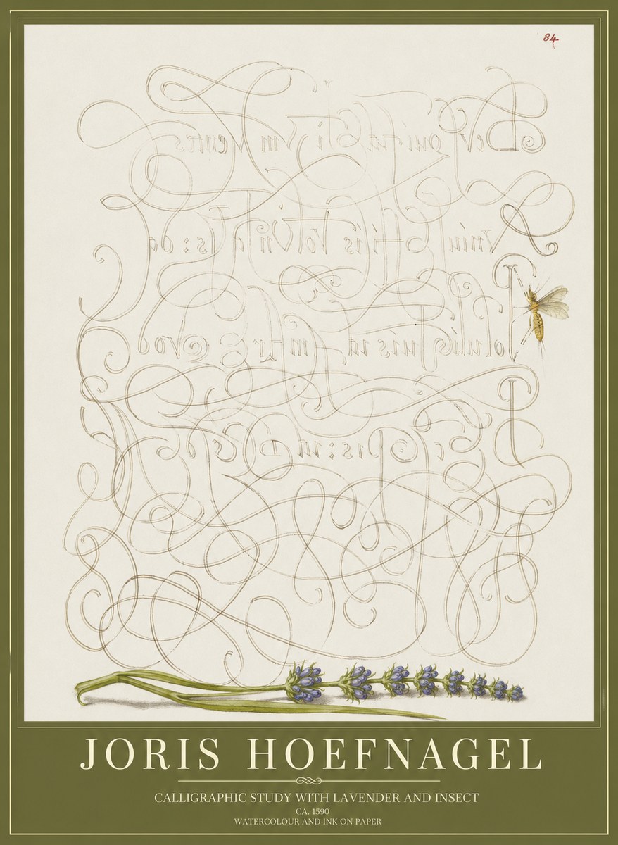 Joris Hoefnagel Calligraphic Study with Insect and Flower No5 - Plakat