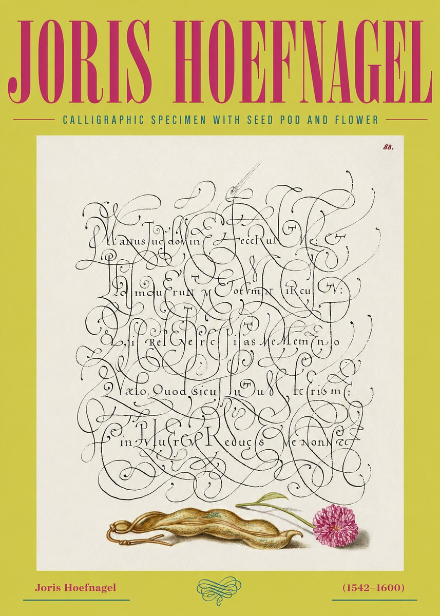 Joris Hoefnagel Calligraphic Specimen with Seed Pod and Flower No2 - Plakat