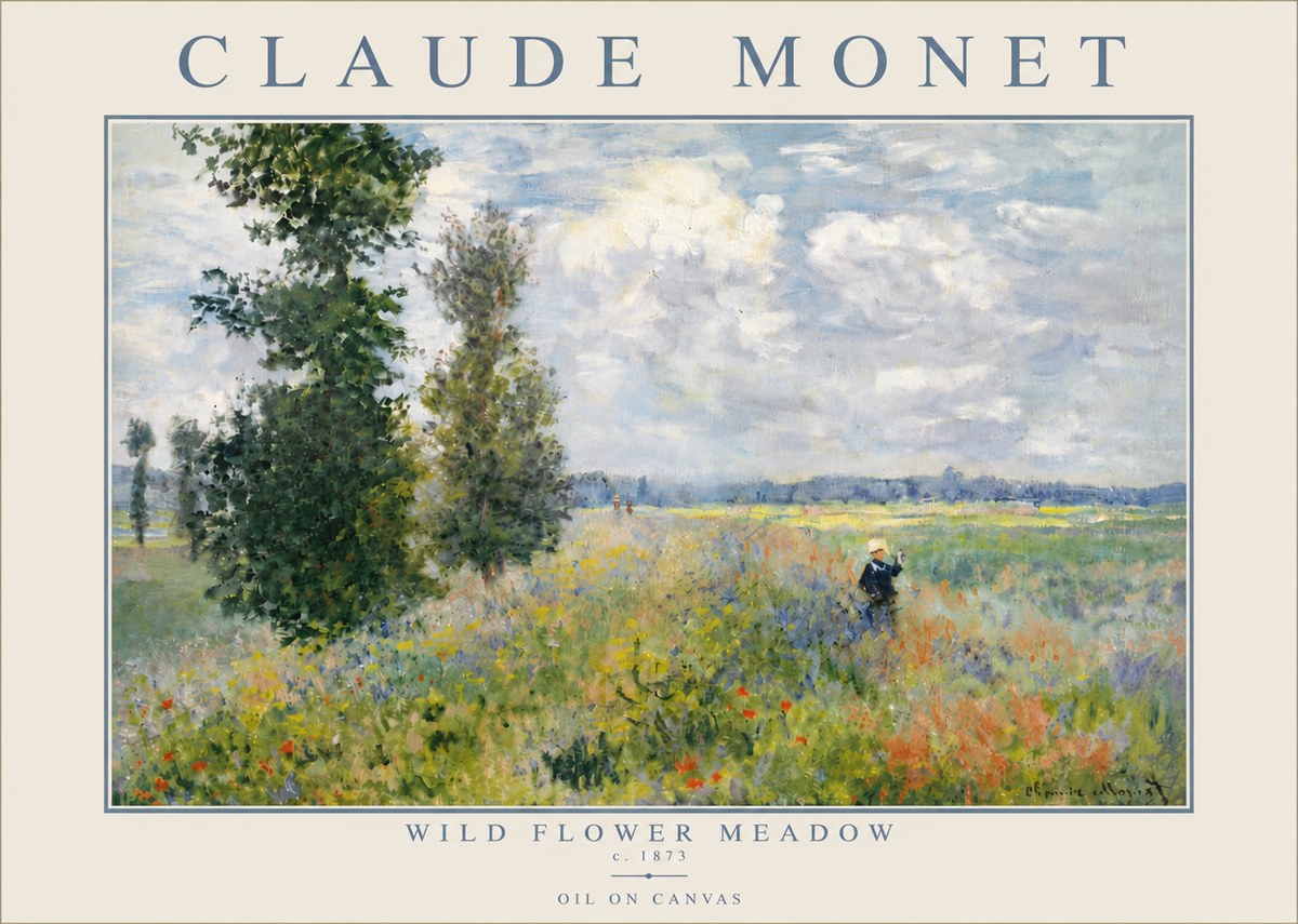 Monet Wild Flower Meadow No5 - Plakat