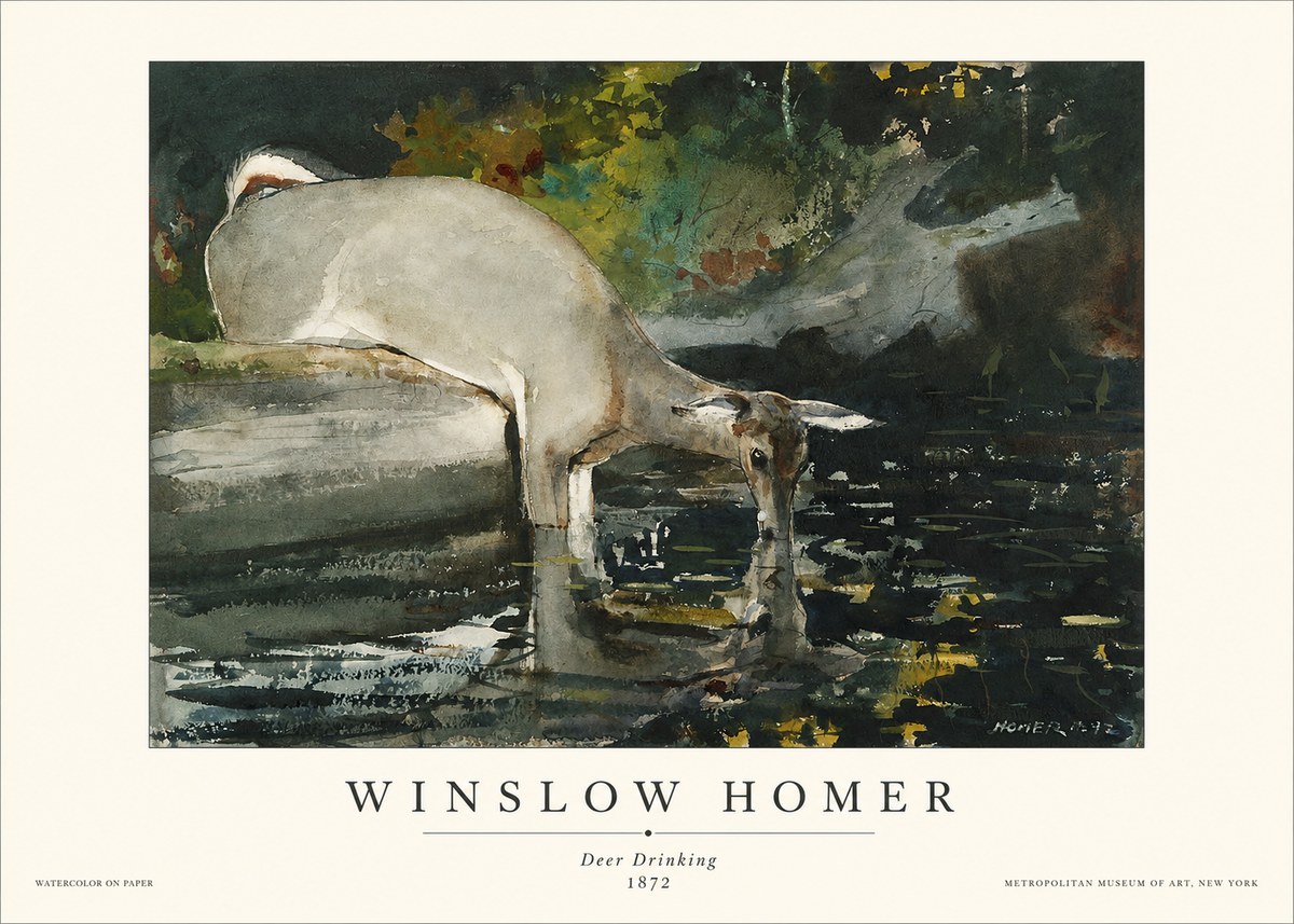 Winslow Homer Deer Drinking No1 - Plakat