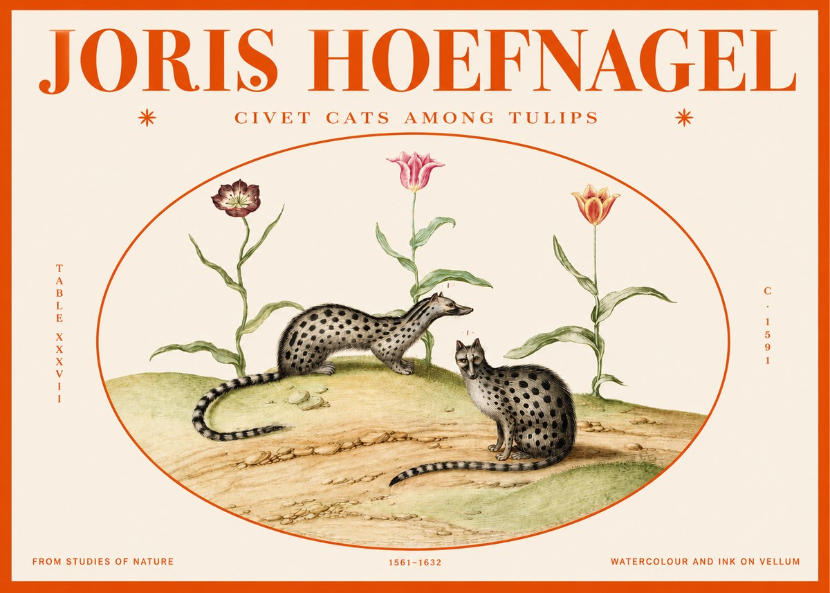 Joris Hoefnagel Civet Cats Among Tulips No2 - Plakat