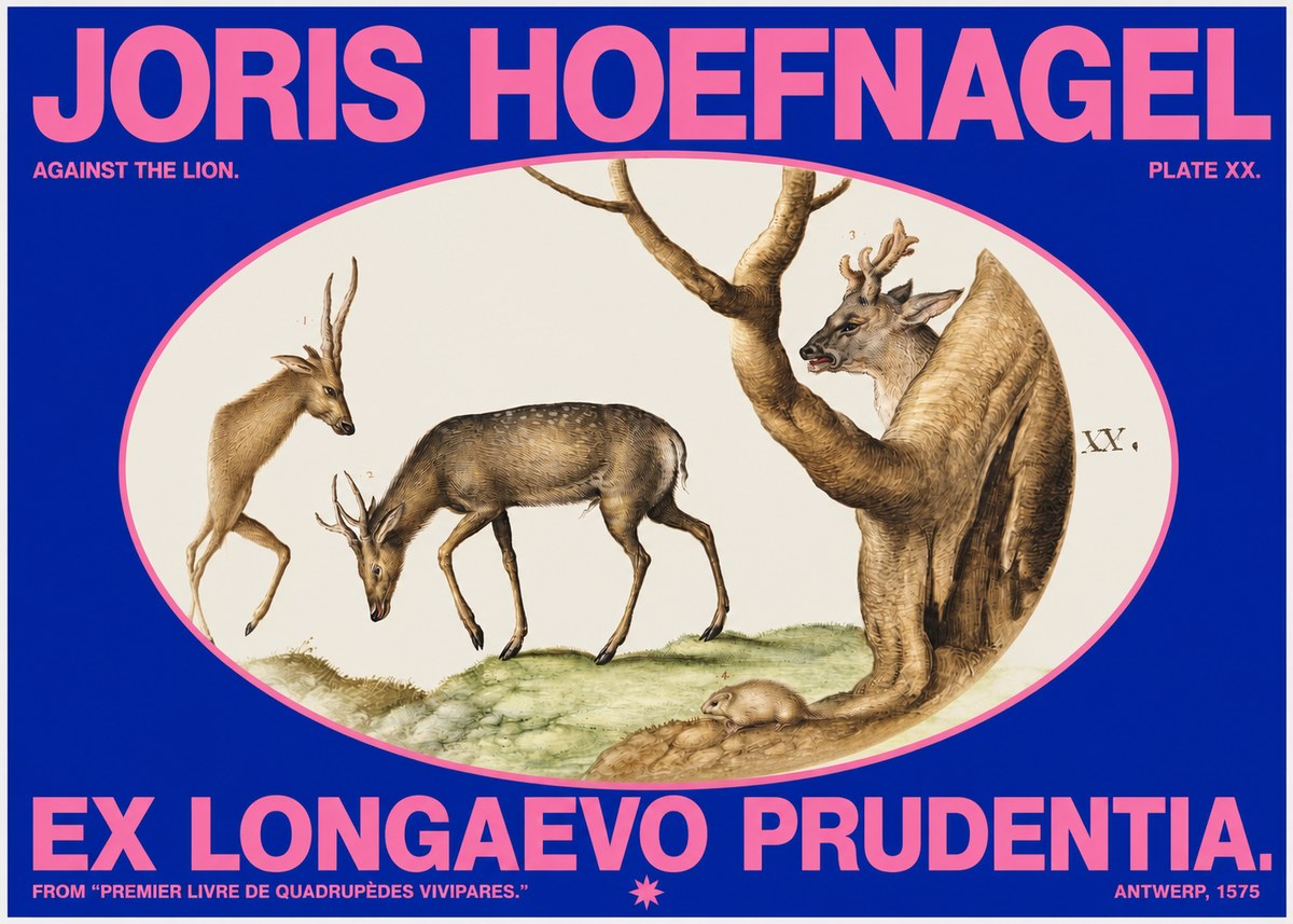Joris Hoefnagel Do Not Rush Against the Lion. No6 - Plakat