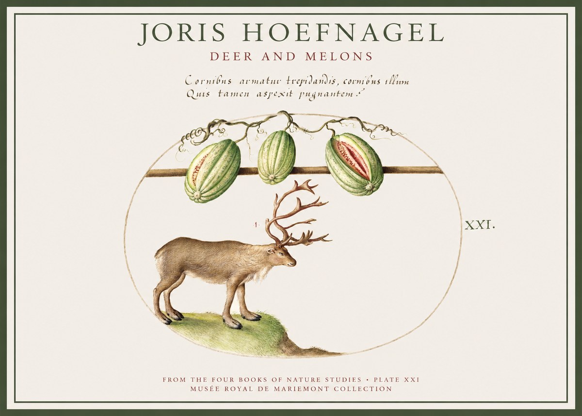 Joris Hoefnagel Arctic Nature Study No4 - Plakat