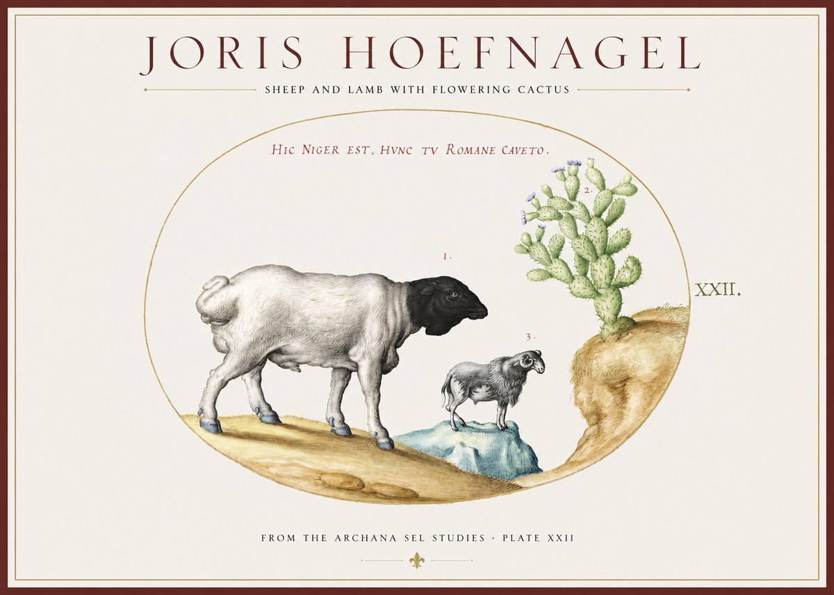Joris Hoefnagel Sheep and Lamb with Flowering Cactus No1 - Plakat