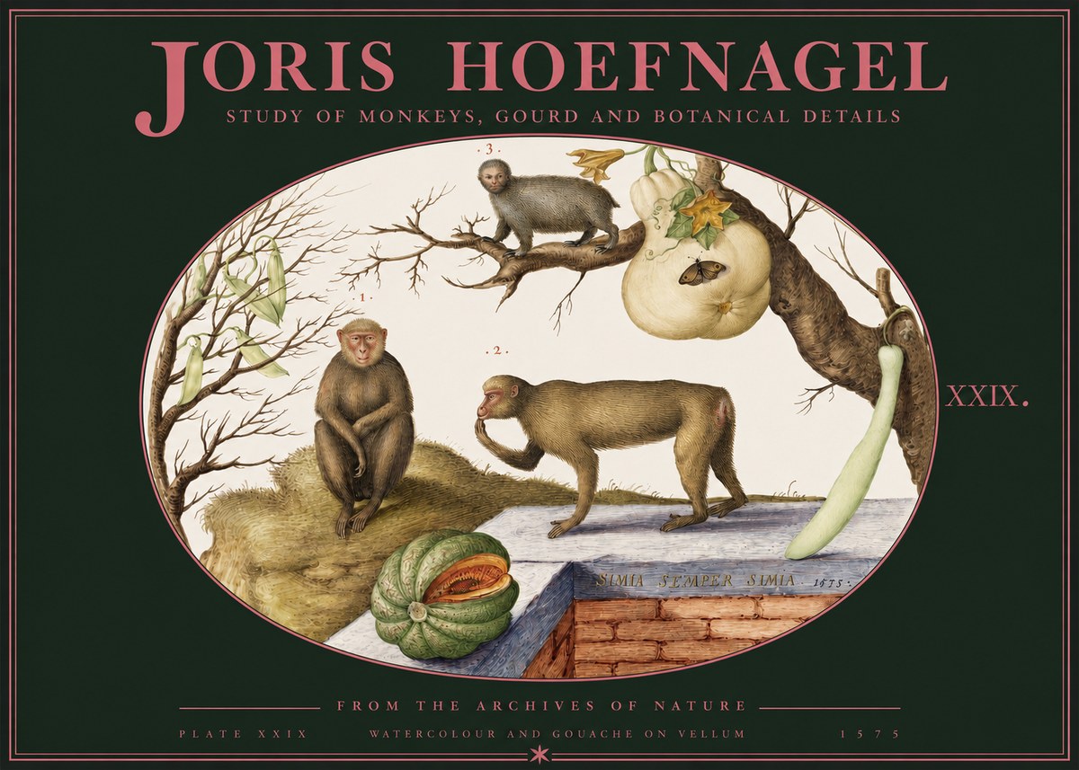 Joris Hoefnagel But Always a Monkey, Always a Monkey. Plate Xxix No3 - Plakat