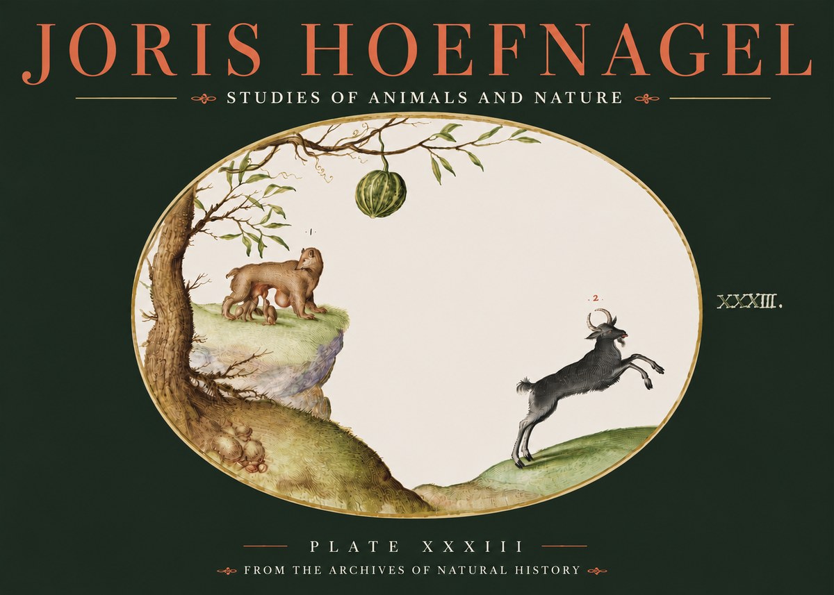 Joris Hoefnagel Plate Xxxiii No4 - Plakat