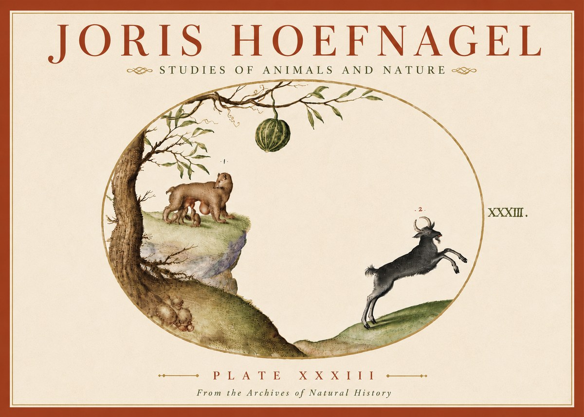 Joris Hoefnagel Plate Xxxiii No6 - Plakat