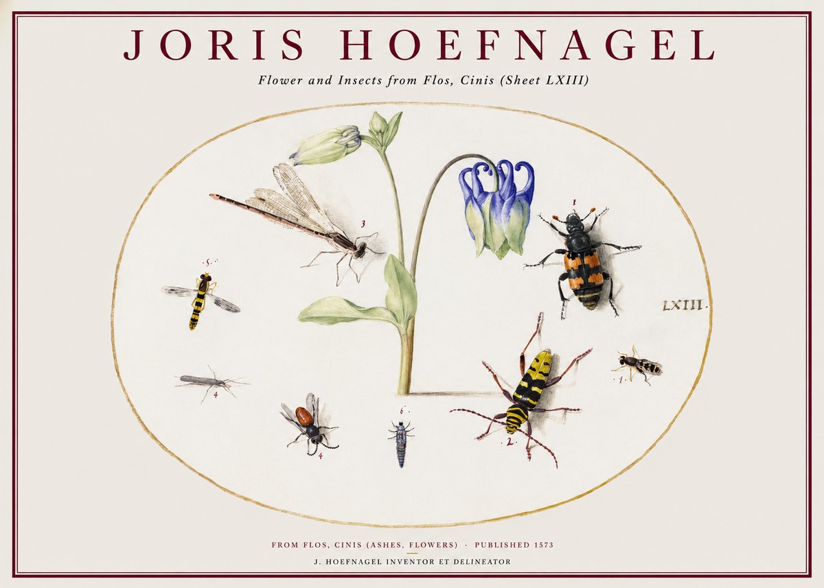 Joris Hoefnagel Insects and a Flower Study No2 - Plakat