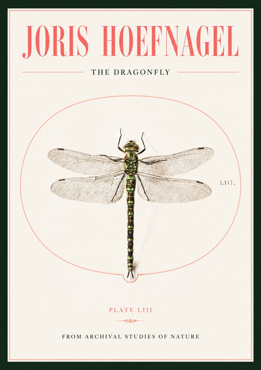 Joris Hoefnagel The Dragonfly No2 - Plakat
