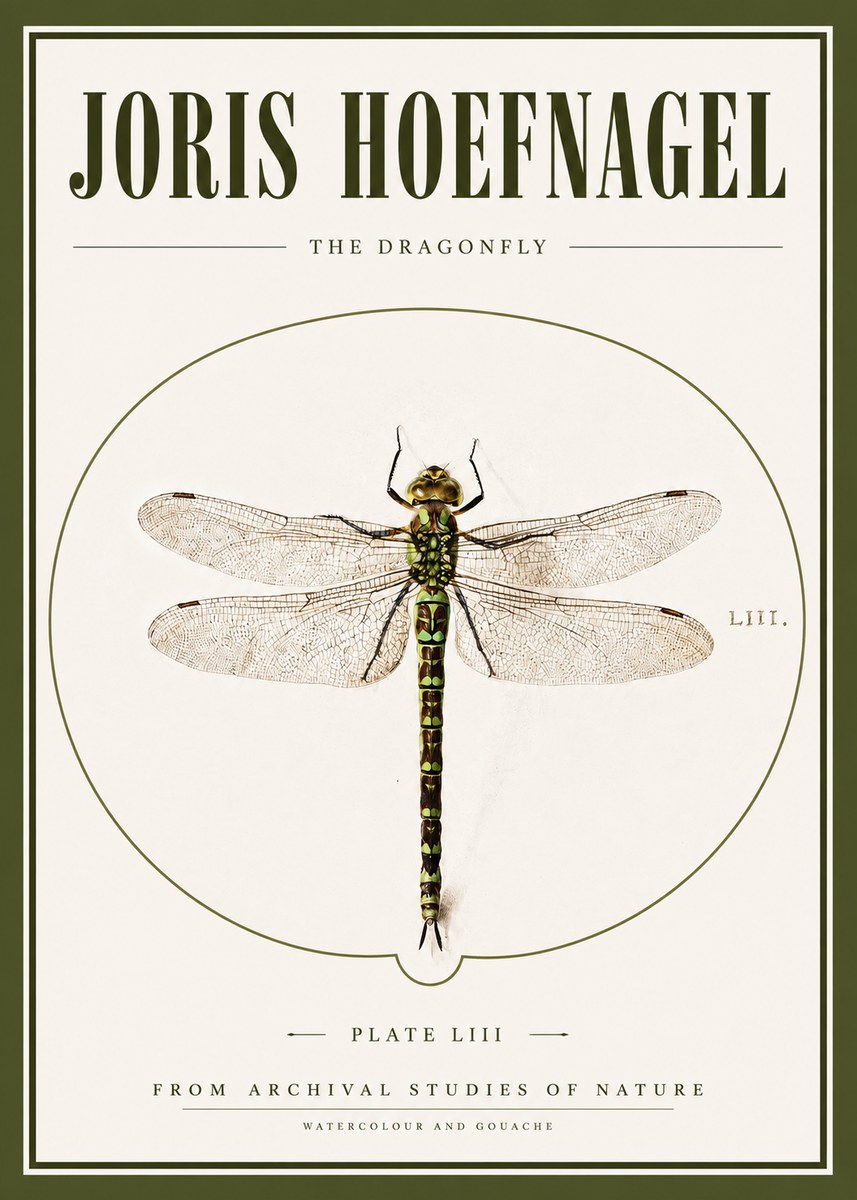 Joris Hoefnagel The Dragonfly No3 - Plakat