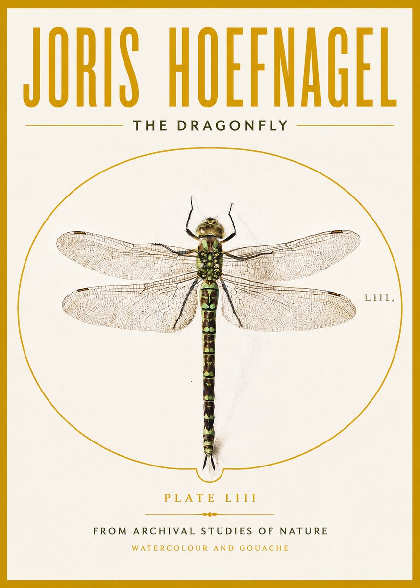 Joris Hoefnagel The Dragonfly No4 - Plakat