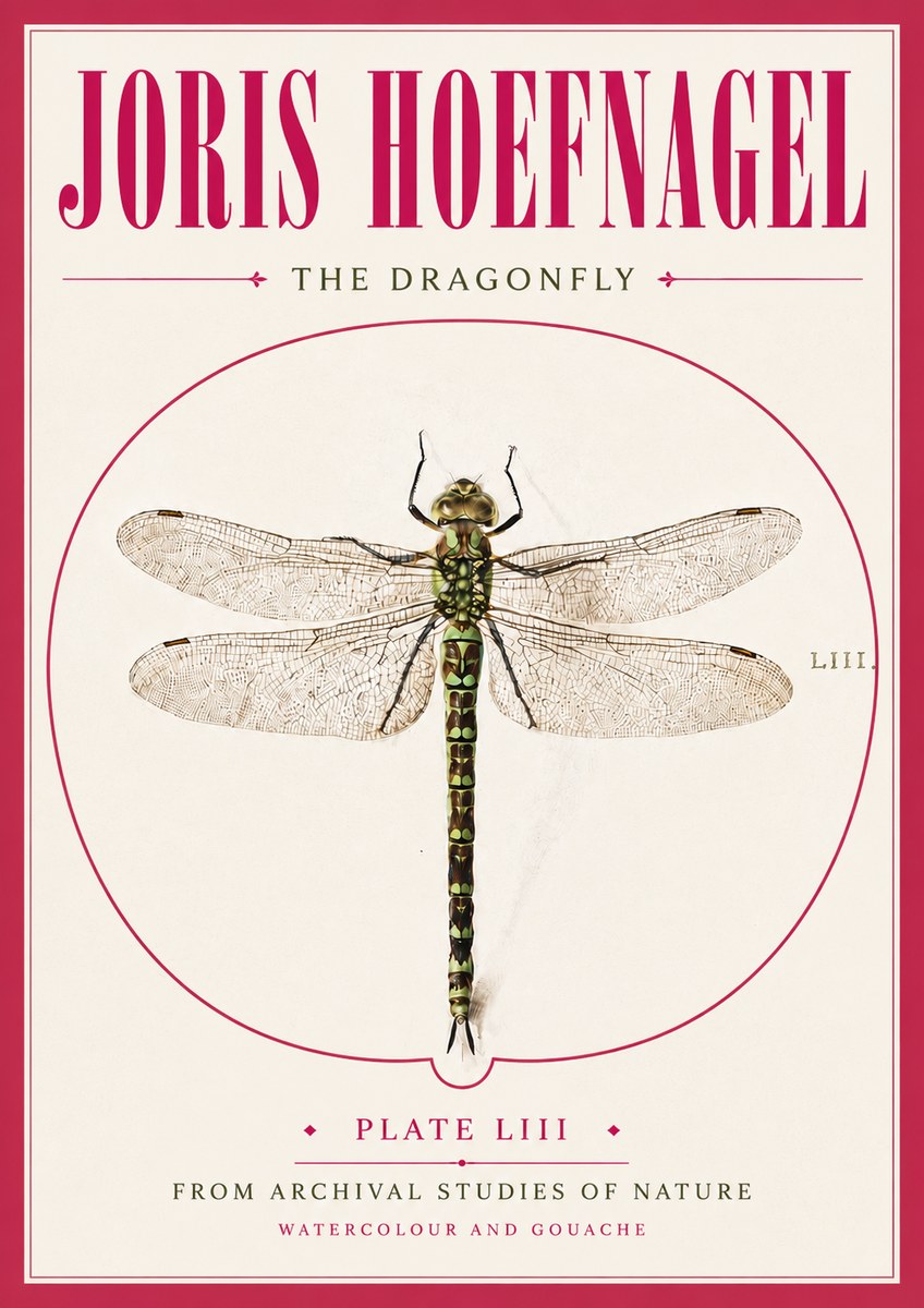 Joris Hoefnagel The Dragonfly No5 - Plakat