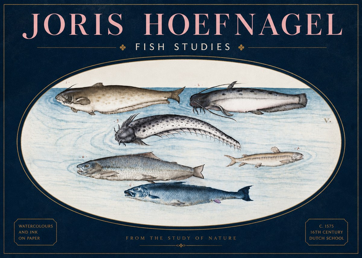 Joris Hoefnagel Fish of the Waters No4 - Plakat