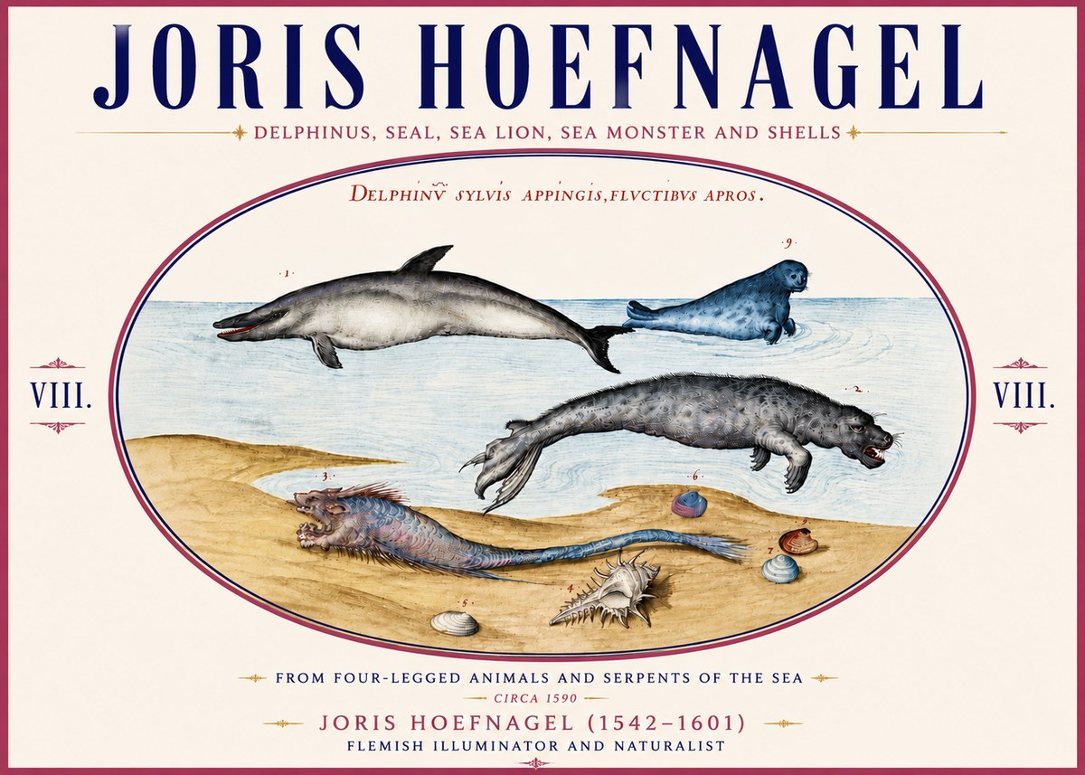 Joris Hoefnagel Delphinus, Seal, Sea Lion, Sea Monster and Shells No6 - Plakat