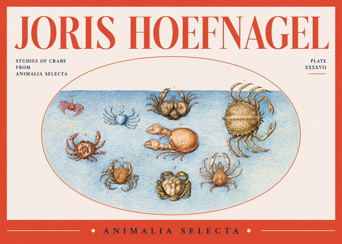 Joris Hoefnagel Studies of Crabs No2 - Plakat