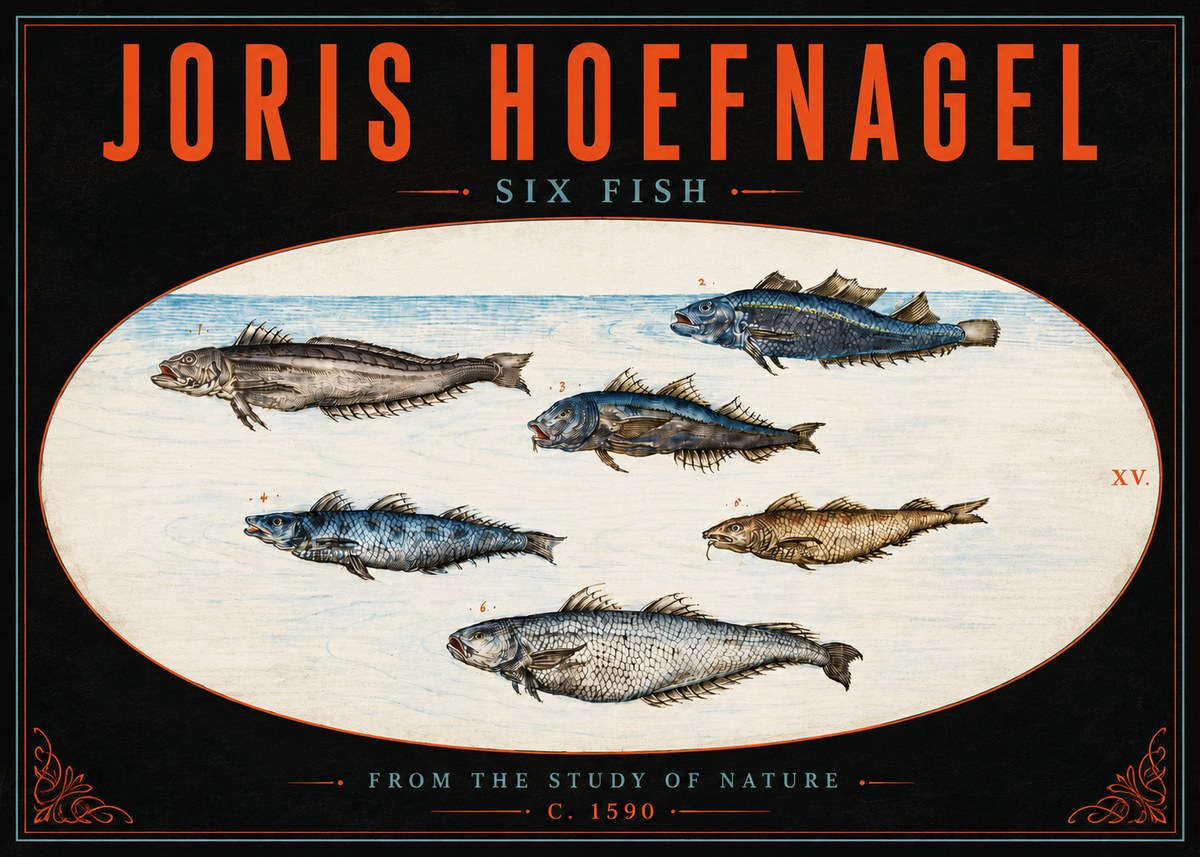 Joris Hoefnagel Six Fish No5 - Plakat